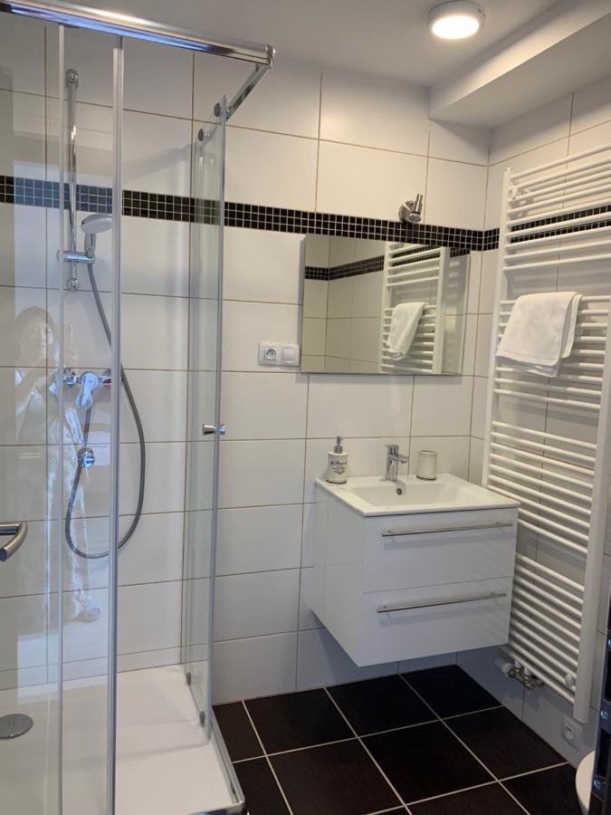 Pension Vidhous 2 Франтишкови-Лазне Экстерьер фото