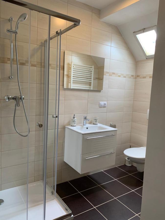 Pension Vidhous 2 Франтишкови-Лазне Экстерьер фото